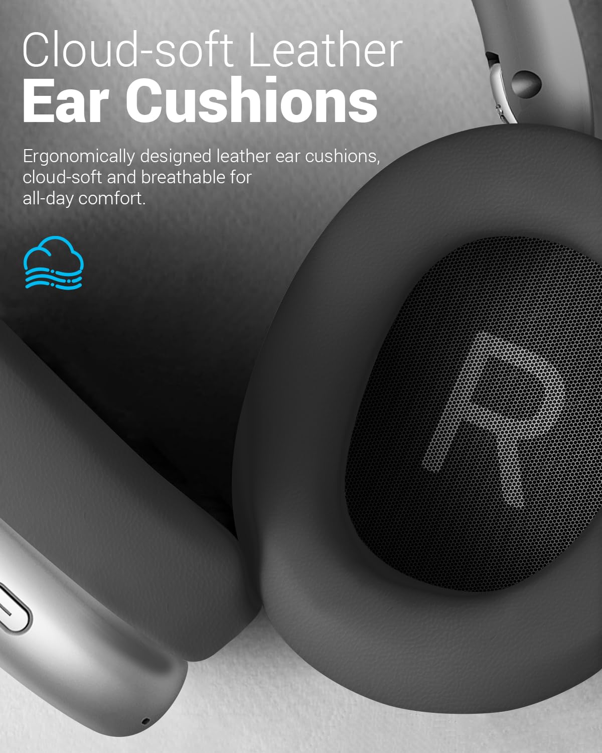 Wentronic Y01 driver and port detail highlighting Hi-Res audio components