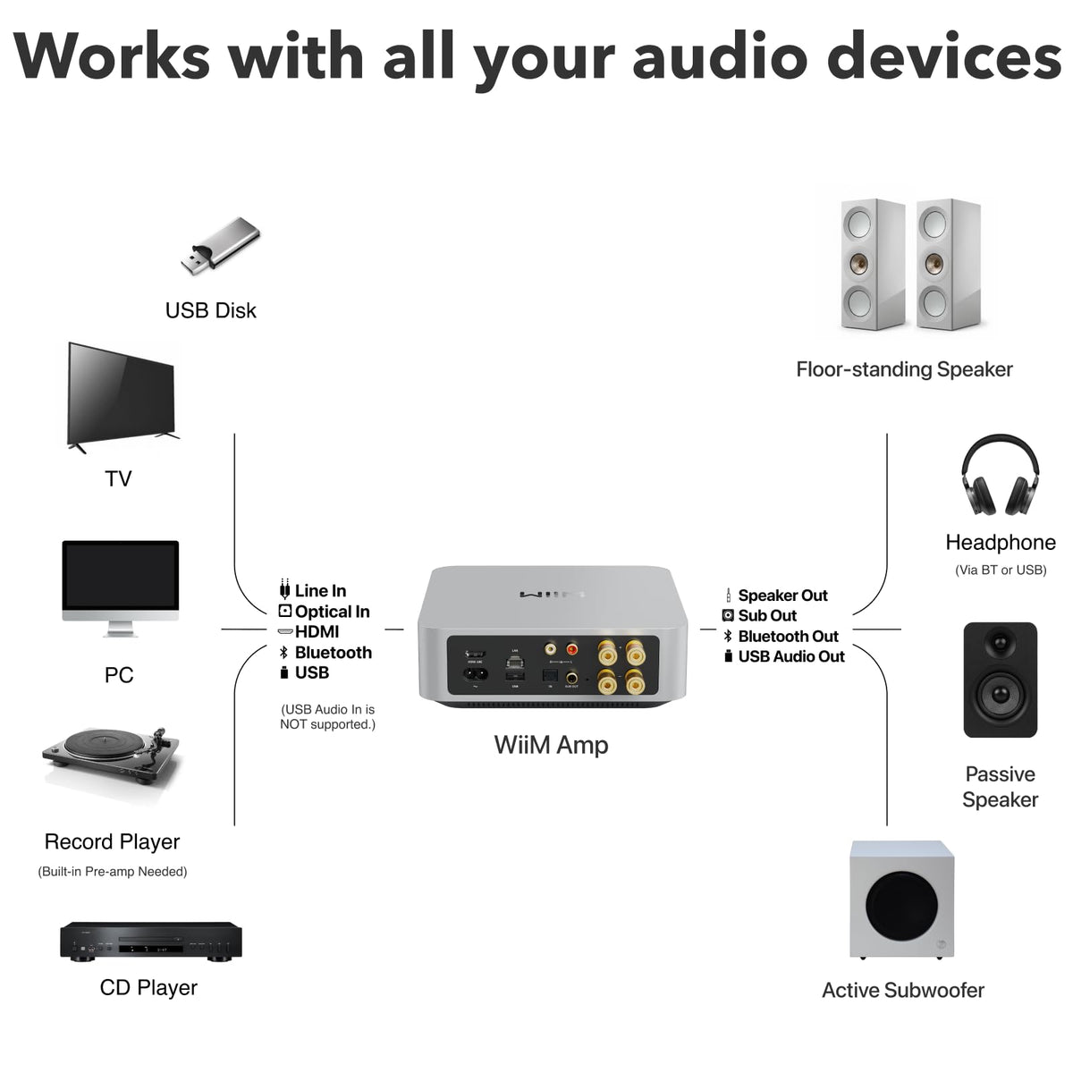 WiiM Amp multiroom layout showing synchronized audio in multiple rooms