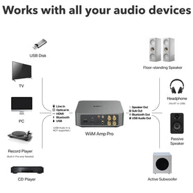 WiiM Amp Pro compatible with powered subwoofers for cinema bass