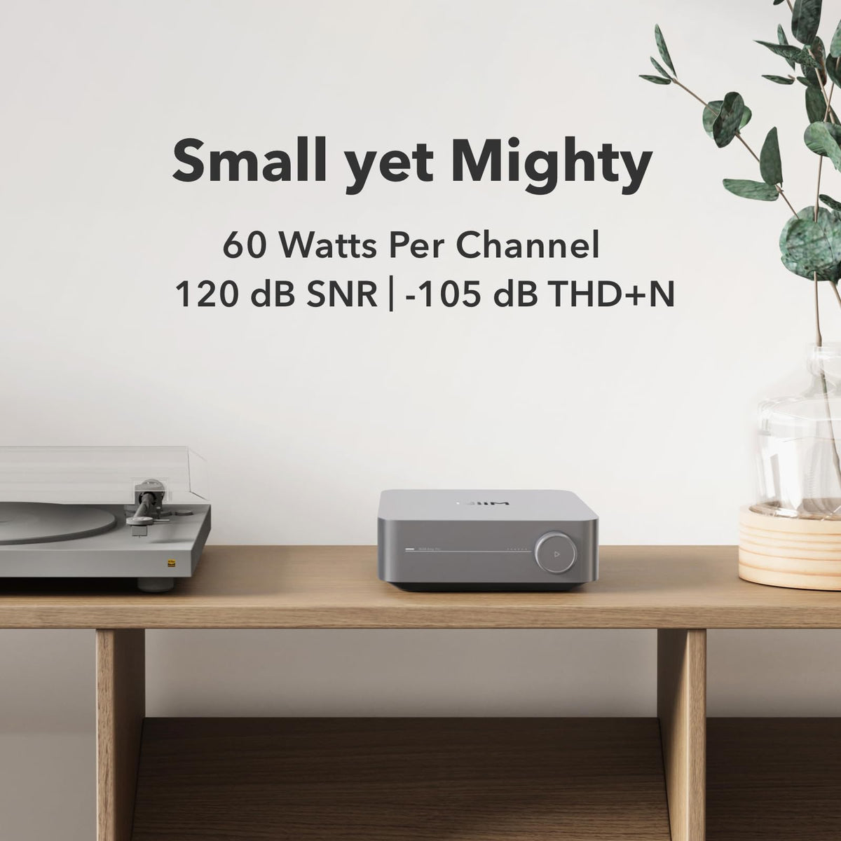 WiiM Amp Pro voice control with Alexa and Google Assistant