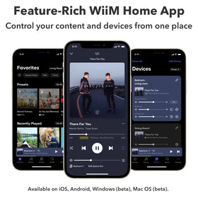 WiiM Amp streams from Spotify, Amazon Music, and more