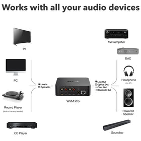 WiiM Pro Amazon Music Casting for Prime Music playback.
