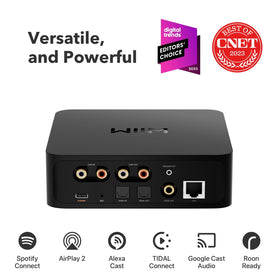WiiM Pro Google Cast Audio for multi-room music from many apps.
