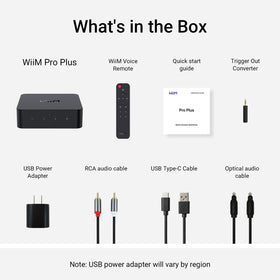 WiiM Pro Plus hi res digital and analog output options
