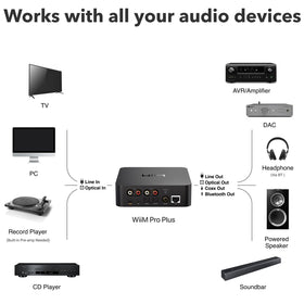 WiiM Pro Plus streaming from Spotify Connect for convenient playback