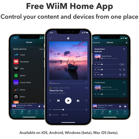 WiiM Pro Plus Tidal Connect supports Master quality audio