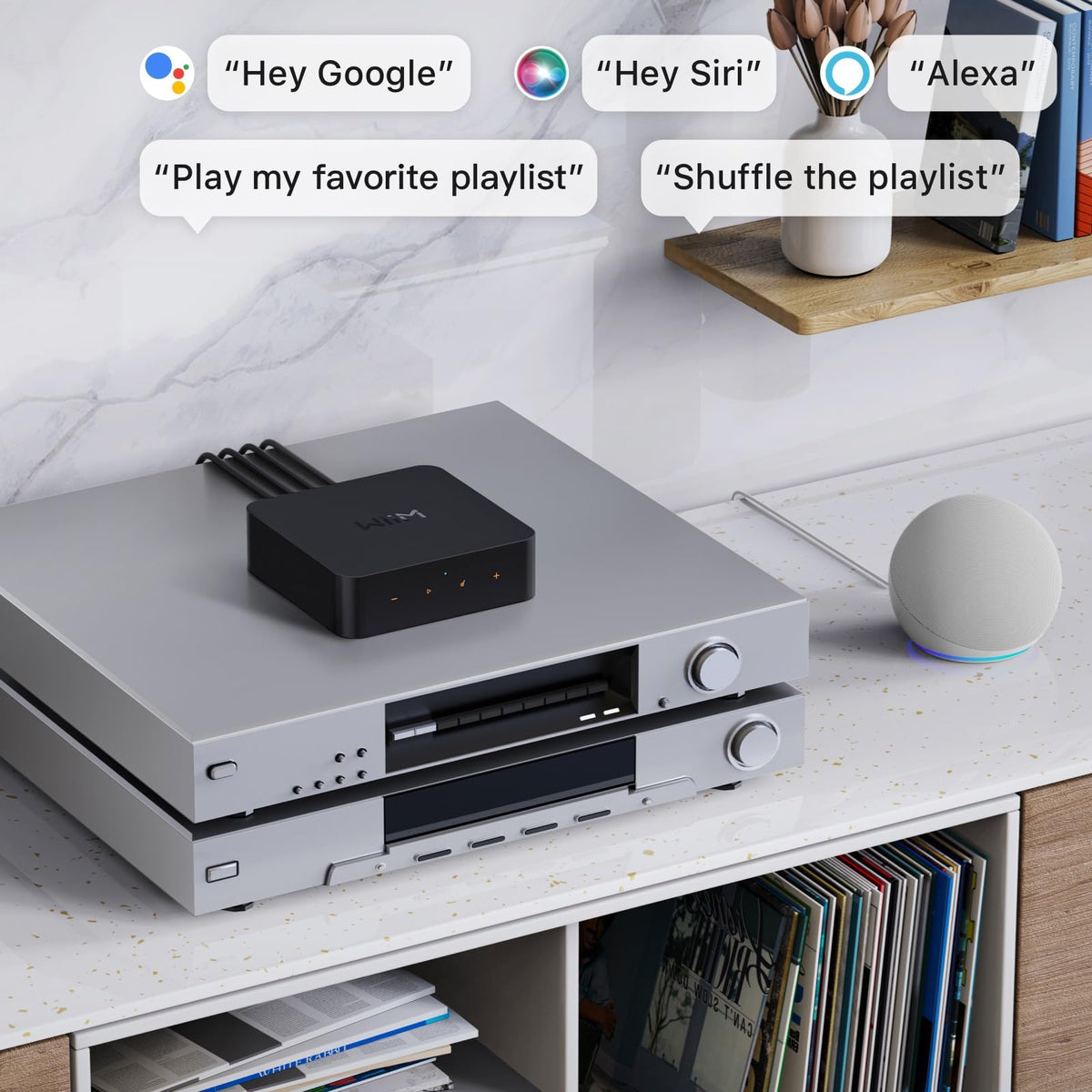 WiiM Pro Plus compatibility with Alexa, Siri, and Google Assistant