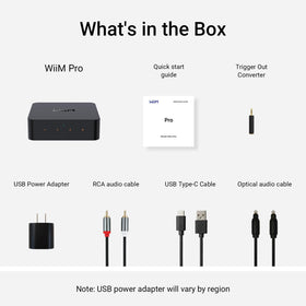 WiiM Pro voice control compatible with Alexa, Google, and Siri.