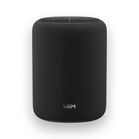 WiiM Sound Lite front view with a sleek black finish for powerful sound.