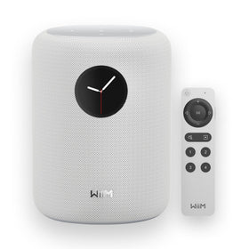 WiiM Sound Smart Speaker 1.8-inch touch display for quick playback control.