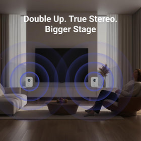 WiiM remote included for quick playback control.