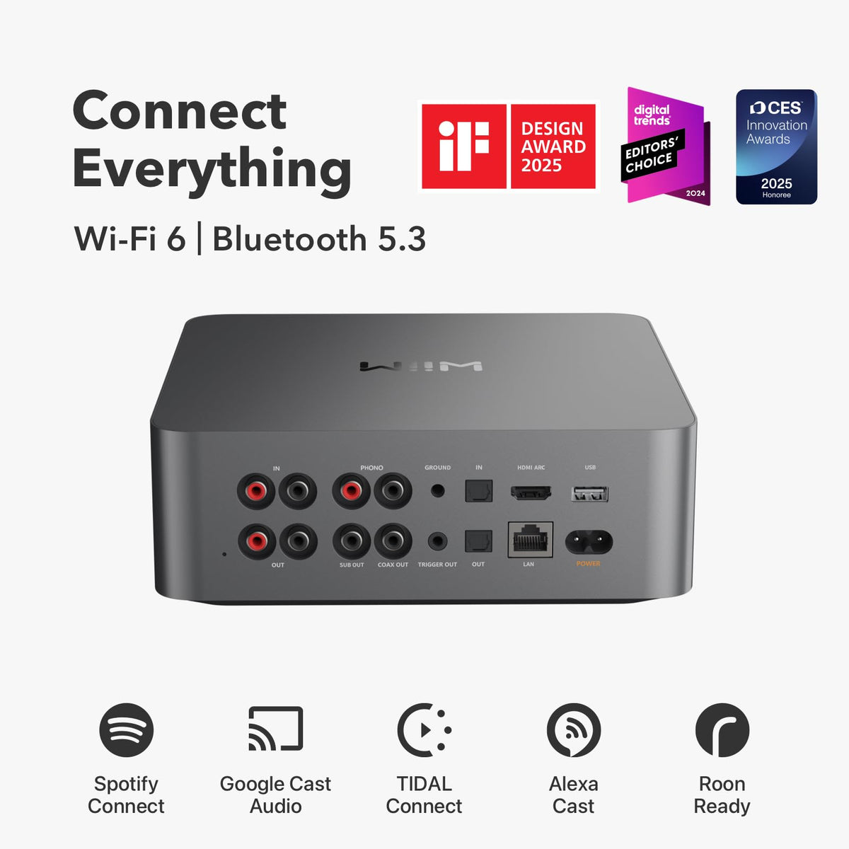 WiiM Ultra ESS ES9038 DAC close up highlights high fidelity sound