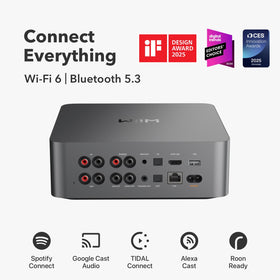 WiiM Ultra ESS ES9038 DAC close up highlights high fidelity sound