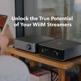 Optical input on the WiiM Vibelink Amp for high-resolution digital playback