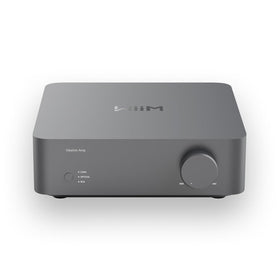 WiiM Vibelink Amp front panel with precise control for clean power