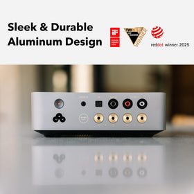 Rear ports on the WiiM Vibelink Amp showing versatile input options