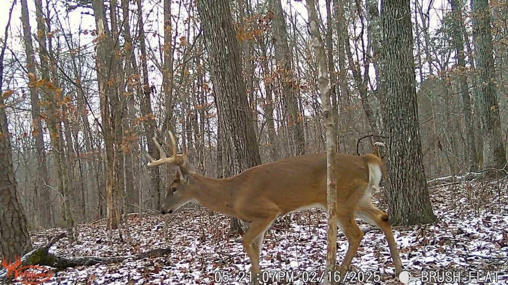 WILDGAME Innovations battery tray and 12V jack highlighting extended power options