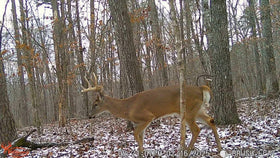 WILDGAME Innovations battery tray and 12V jack highlighting extended power options