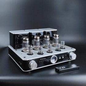 Willsenton R8 front panel with KT88 tubes for a classic hi-fi look.