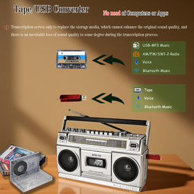 WISCENT USB and Micro SD playback demo showing digital file access and conversion benefit