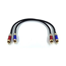 WJSTN-020 RCA to RCA 1ft connection showing gold-plated connectors for clean, high-fidelity stereo