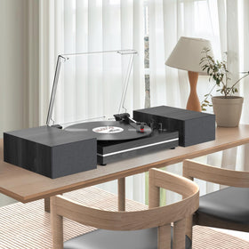 WOCKODER detachable dust cover keeps records clean between plays.