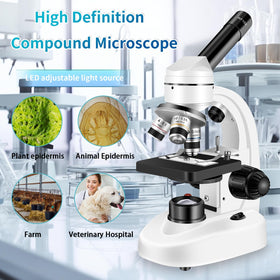 Woehrsh compound microscope side view highlighting ergonomic design