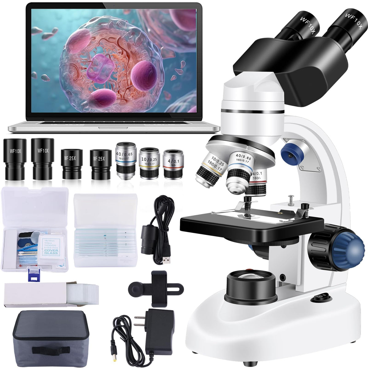 Woehrsh adults microscope with WF10x/WF25x eyepieces for clear educational viewing.