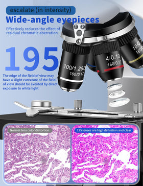 Woehrsh microscope with LED illumination delivering bright, even lighting for clear inspection.