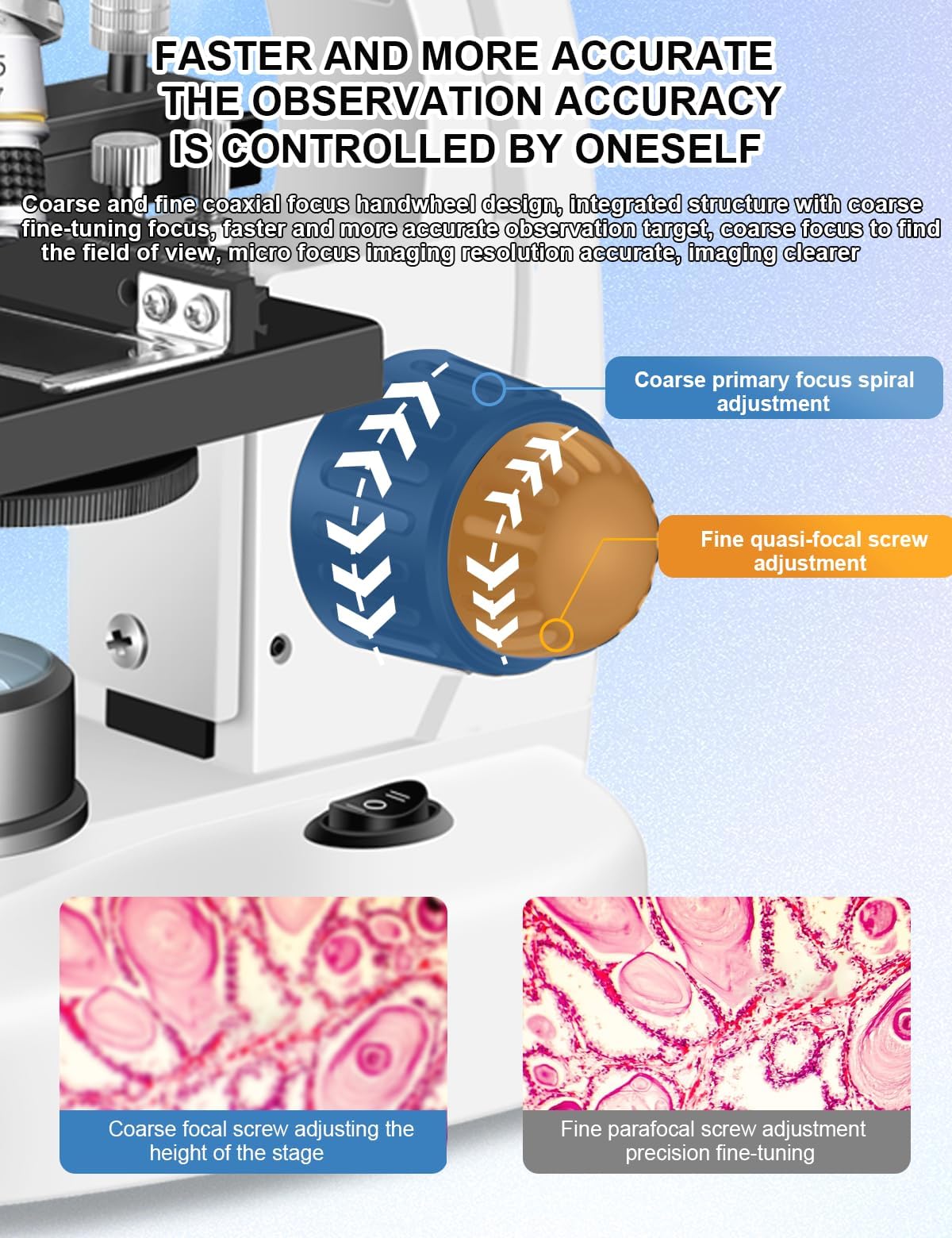 Woehrsh easy setup ideal for labs, classrooms, and home education.