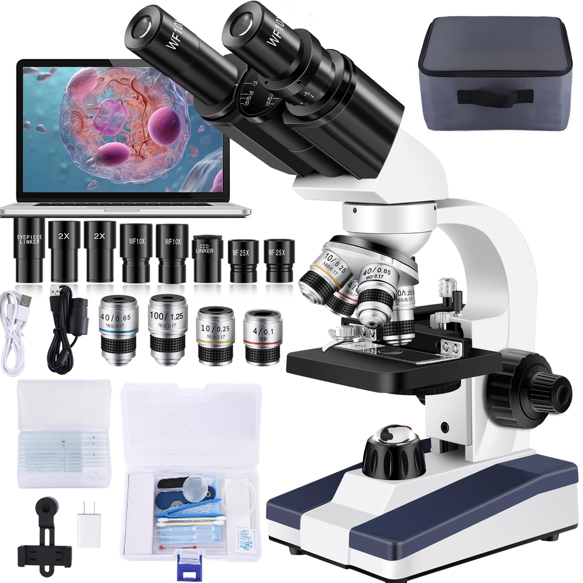 Woehrsh microscope setup with WF10x eyepieces for clear classroom observations