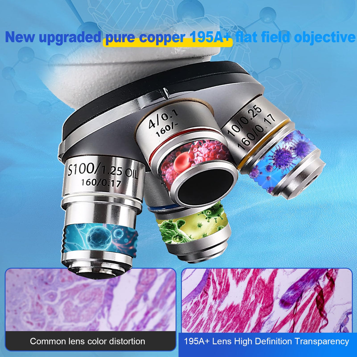 Woehrsh Trinocular double layer stage ensures accurate slide placement