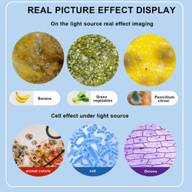 Woehrsh trinocular microscope includes HD USB camera for image capture.