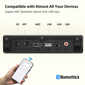 Wohome S100 Pro back panel with ports for Bluetooth and Optical connections