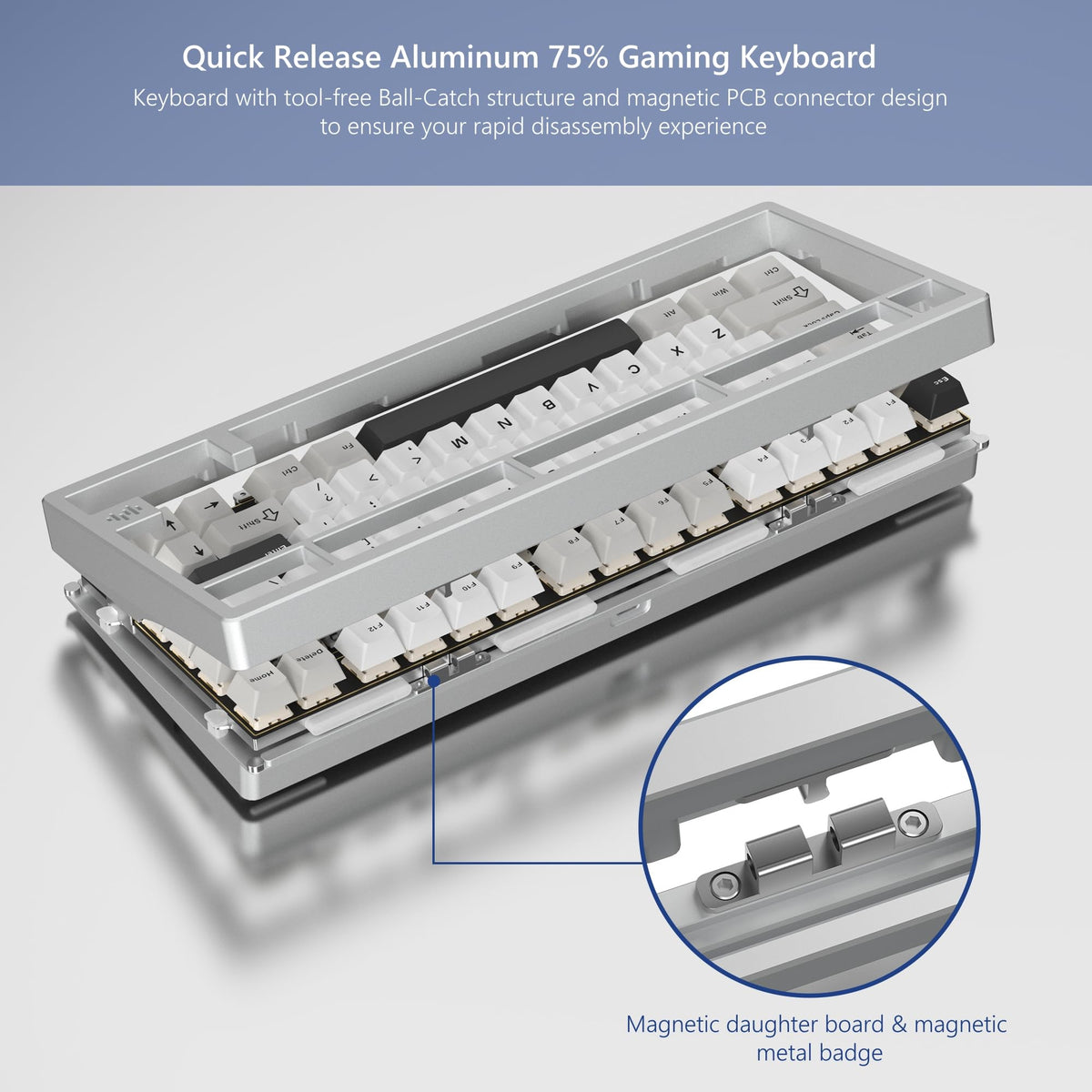 Womier RD75 Pro ball-catch design enables tool-free disassembly.
