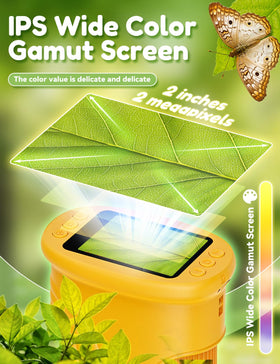 Wonder Quest 4K screen displaying magnified leaf for clear field observation