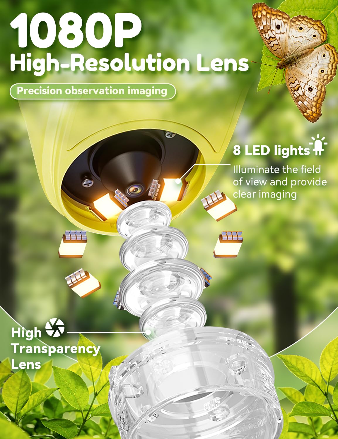 Wonder Quest dual LED lighting on insect to reveal fine wing detail clearly