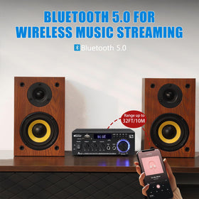 WOOPKER AK45 Pro remote and control knobs for easy playback and volume adjustment