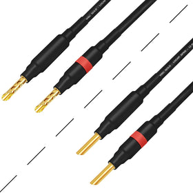 WORLDS BEST CABLES installed between amplifier and speakers demonstrating improved connectivity