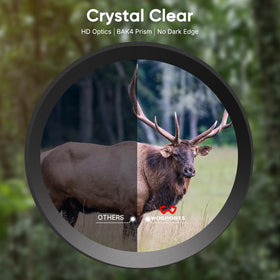WOSPORTS 10x42 in use during bird watching shows steady view and wide field of view.