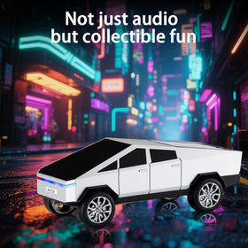WSTER WS-580 playing from USB and TF card, provides offline playback