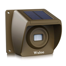 Wuloo front view showing solar panel and motion lens, reliable extended coverage