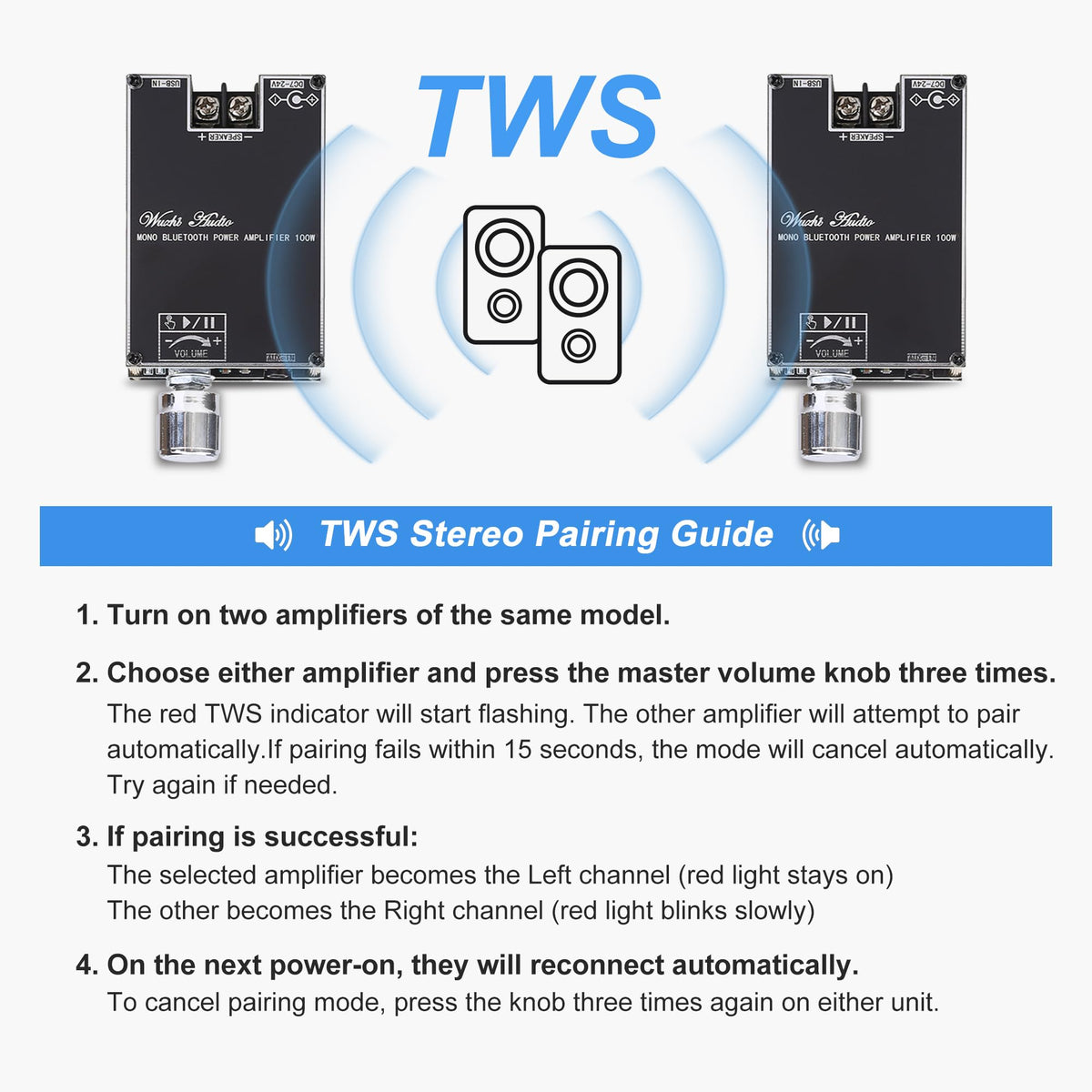Wuzhi Audio ZK-1001B chip close-up highlights TPA3116D2