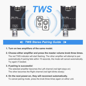 Wuzhi Audio ZK-1001B chip close-up highlights TPA3116D2