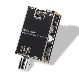 Wuzhi Audio ZK-1001B top view for compact installation