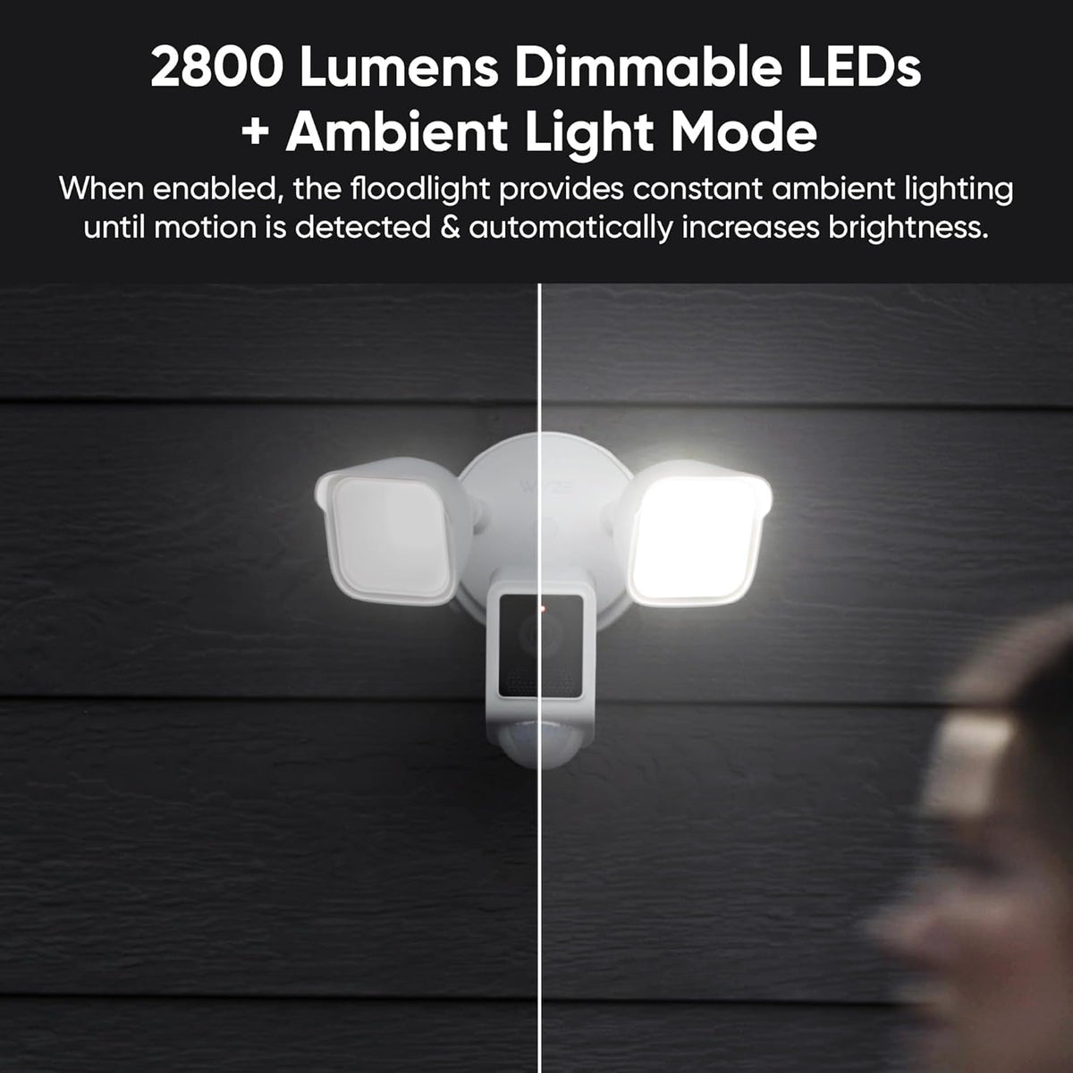 Wyze Floodlight Camera V2 2800-lumen lights illuminate paths and deter activity.