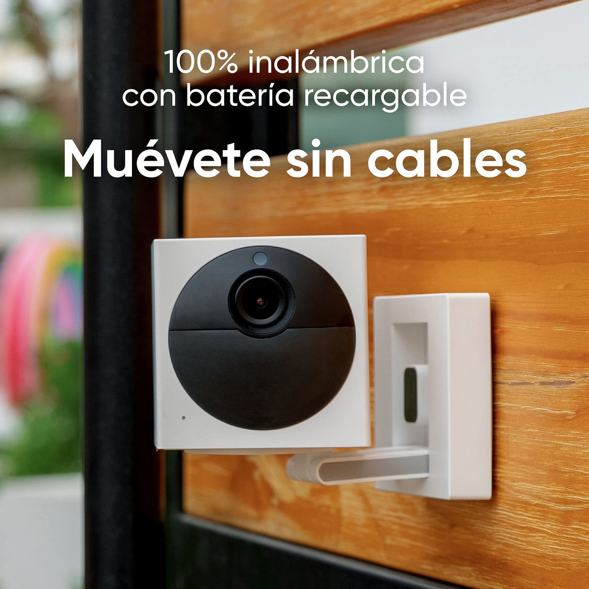 WYZE camera installed in a tree showing flexible wire-free surveillance benefit