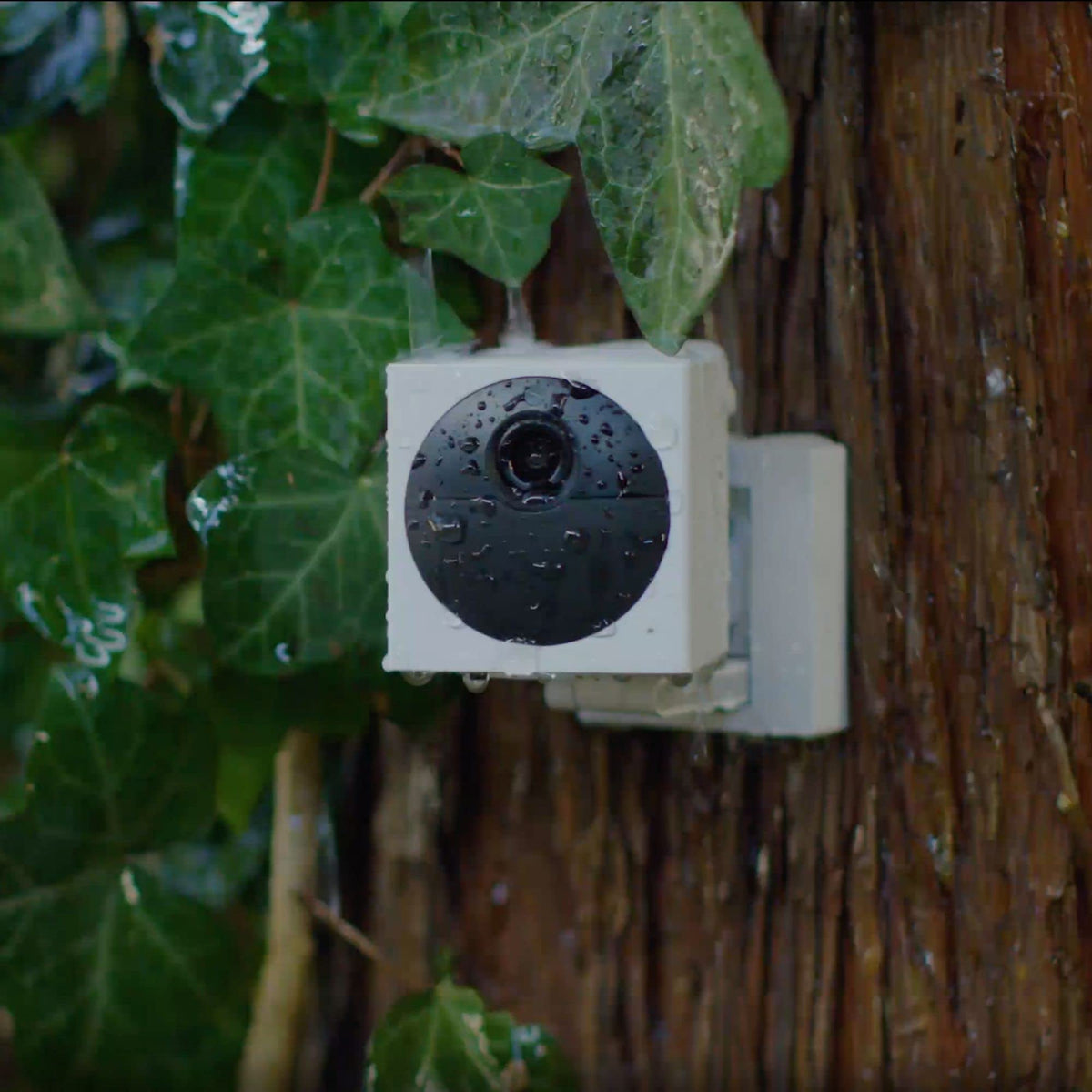 WYZE camera in hand showing small size for easy installation benefit