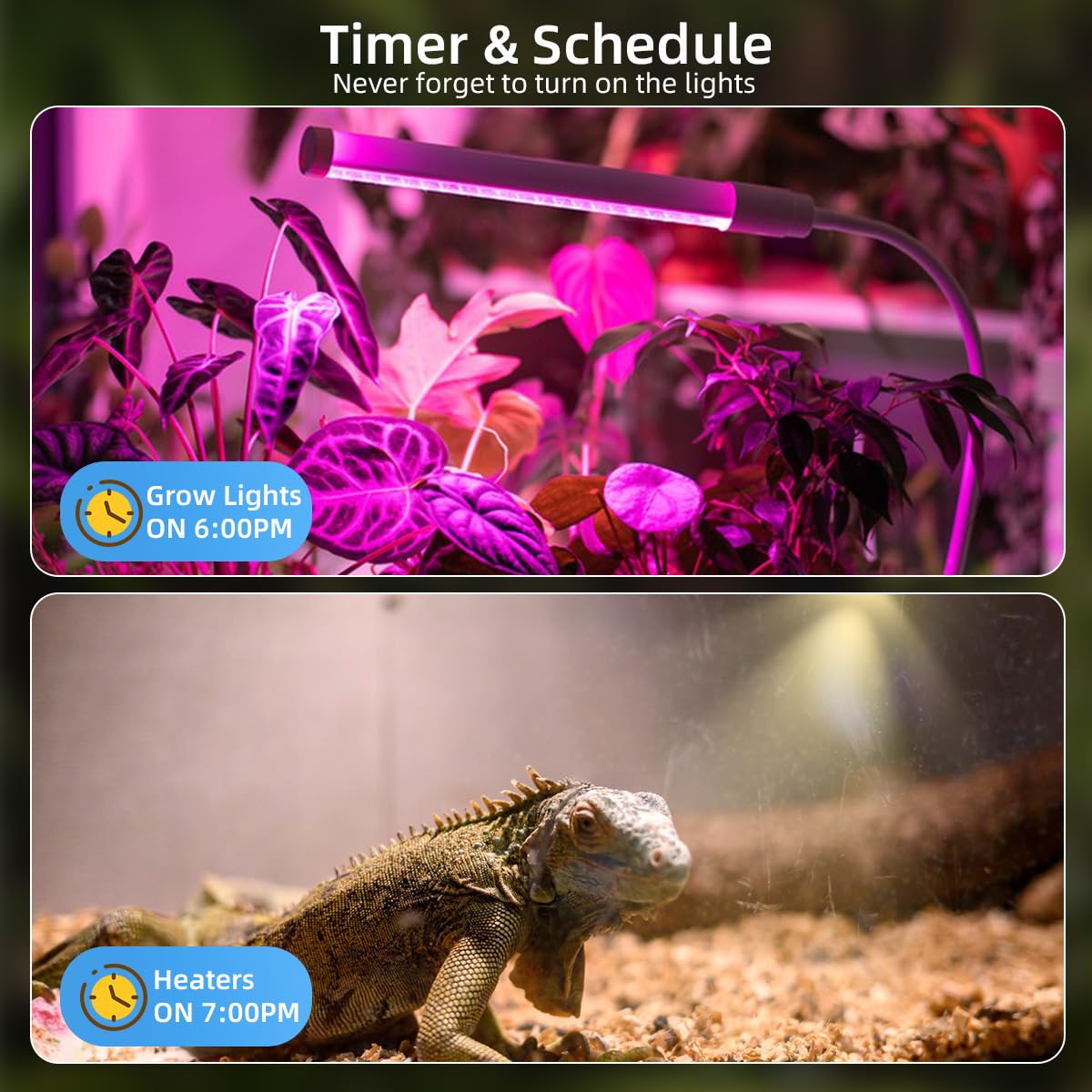 XENON phone displaying timer and scheduler settings to automate devices and save energy
