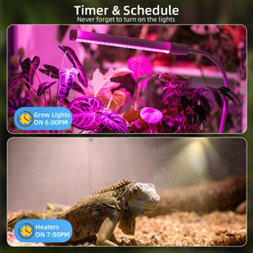XENON phone displaying timer and scheduler settings to automate devices and save energy